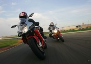 Bimota DB5 1000 Bimota DB5 1000